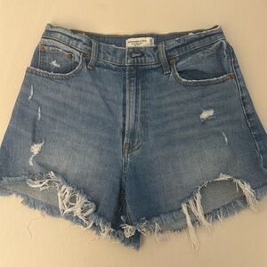 Abercrombie & Fitch Curve Love The  Mom Short High Rise